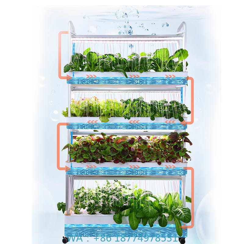 Smart Home Automation Diy - Système de plantation ydroponique système domotique