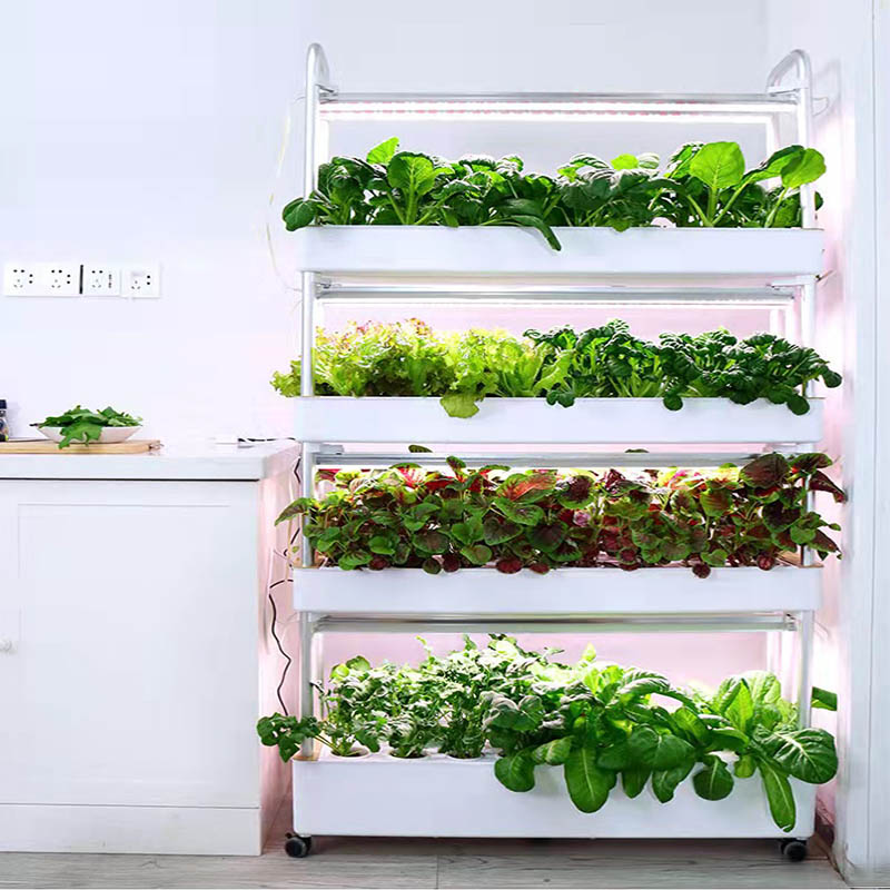 Système de plantation ydroponi - Smart Home Automation Diy avis et prix