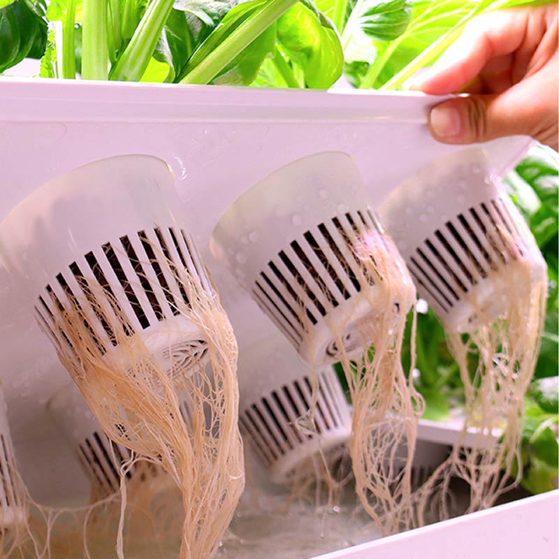 Système de plantation ydroponi - Smart Home Automation Diy avis et prix