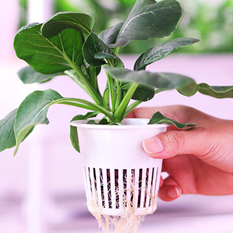 Système de plantation ydroponi - Smart Home Automation Diy avis et prix