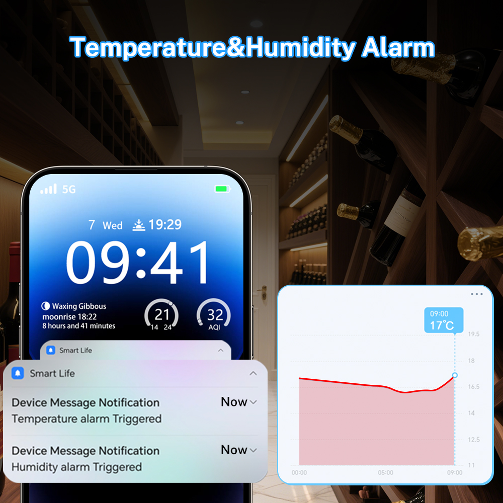 Capteur de température et d'hu - Temperature Humidity Sensor avis et prix